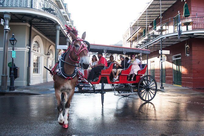 New Orleans French Quarter and More Carriage Ride - What to Expect from the French Quarter Carriage Ride