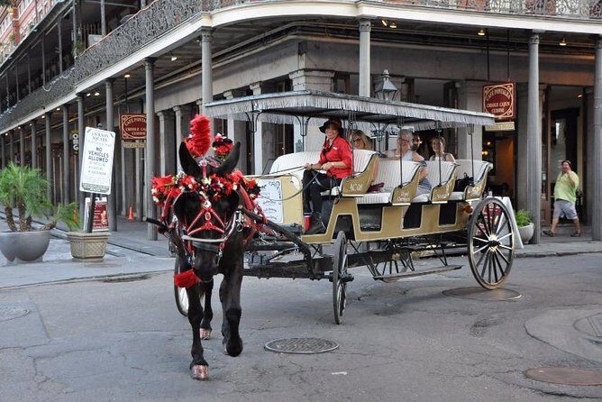 New Orleans French Quarter and More Carriage Ride - The Value for Money