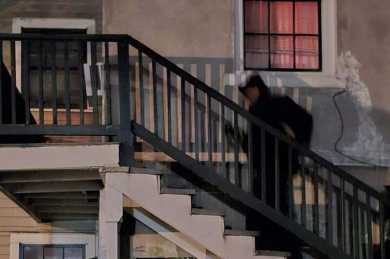 New Orleans: French Quarter Supernatural Ghost Hunt - Key Points