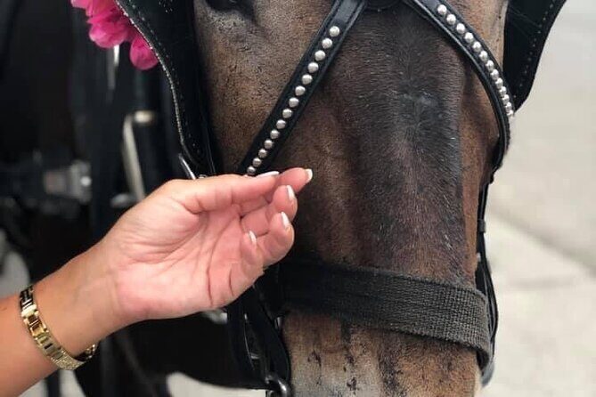 New Orleans Full Day Private Tour from Biloxi - Practical Details: What You Need to Know