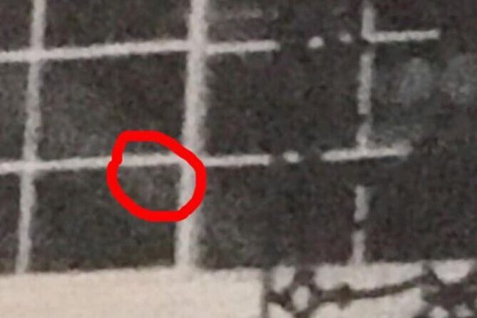 New Orleans Ghost Adventure with Real Paranormal Equipment - Real Feedback from Past Guests