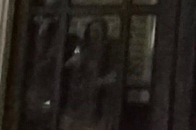 New Orleans Ghost Adventure with Real Paranormal Equipment - Who Is This Tour Best For?