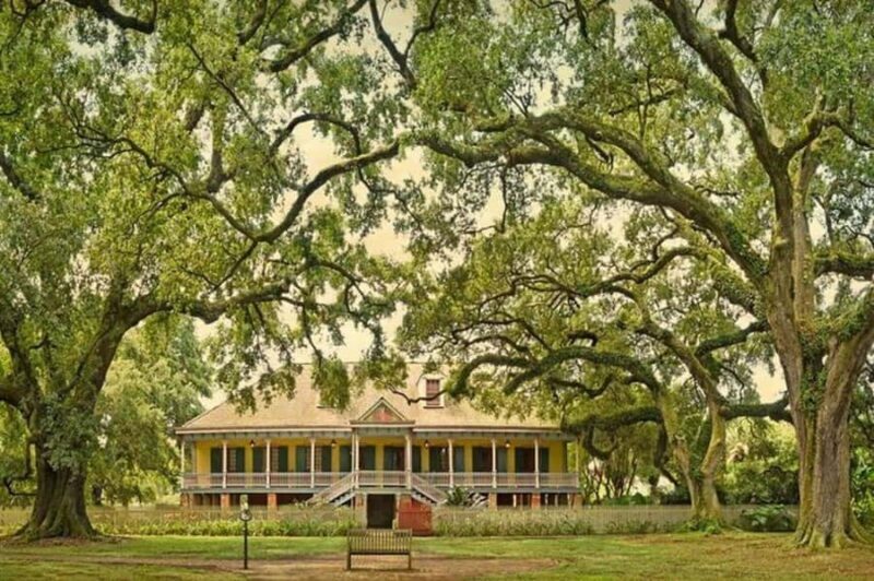 New Orleans: Laura Plantation and Airboat Tour - Key Points