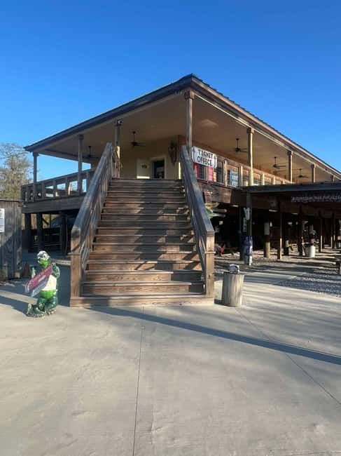 New Orleans Manchac Bayou Swamp Cruise W/ Optional Pick-Up - Getting On the Road: The Bus Ride From New Orleans to the Swamp
