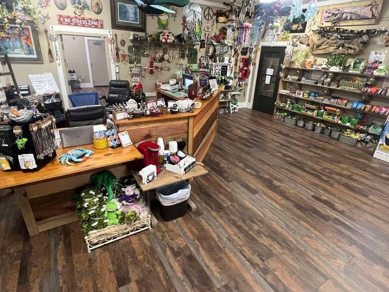 New Orleans Manchac Bayou Swamp Cruise W/ Optional Pick-Up - What You Can Actually Expect to See (Besides Water)