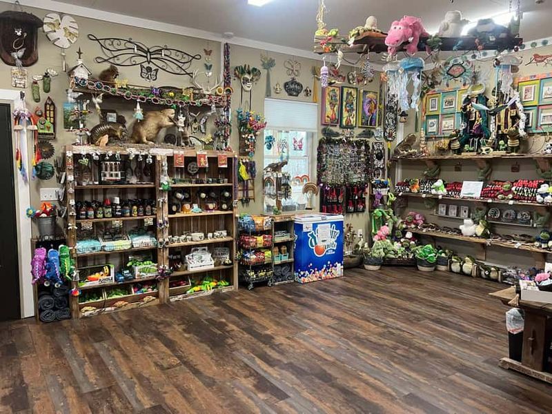 New Orleans Manchac Bayou Swamp Cruise W/ Optional Pick-Up - The Guided Oak Alley Plantation Stop: A Different Kind of Louisiana