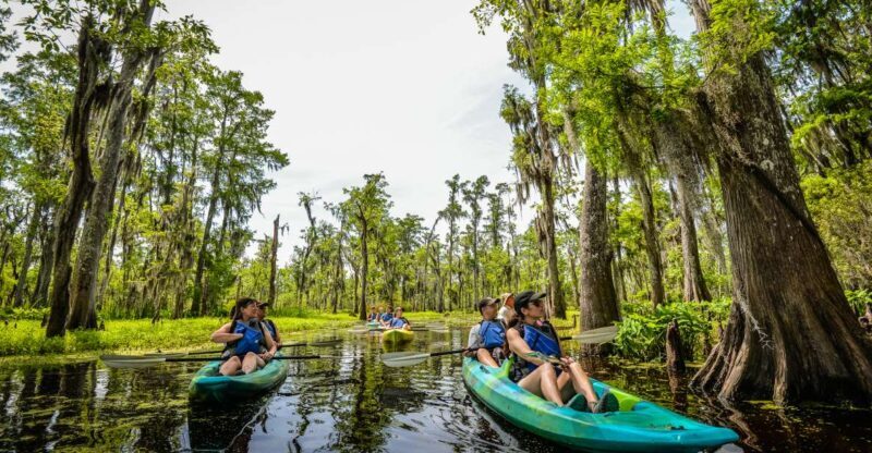 New Orleans: Manchac Magic Kayak Swamp Tour - The Role of the Guides