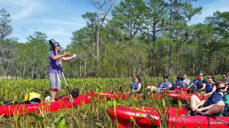 New Orleans: Manchac Swamp Wildlife Kayaking Tour - The Experience Itself: Details and Insights