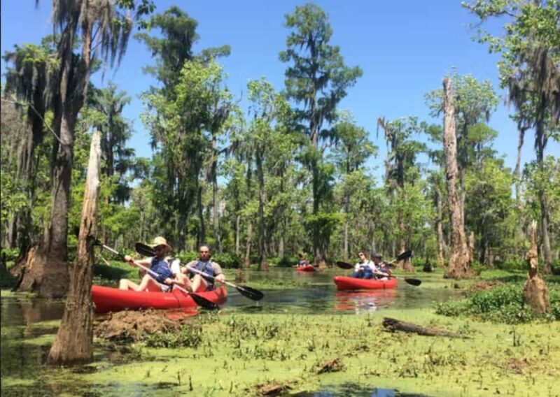 New Orleans: Manchac Swamp Wildlife Kayaking Tour - Cost and Value