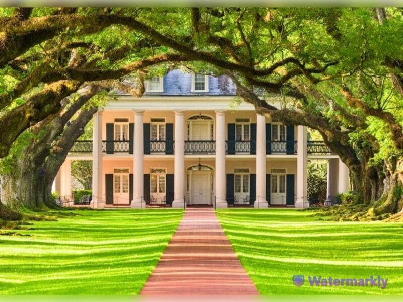 New Orleans: Oak Alley Plantation and Katrina City Tour - Key Points: