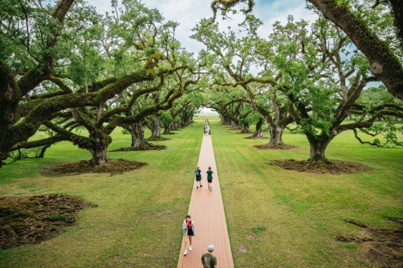 New Orleans: Oak Alley Plantation and Swamp Cruise Day Trip - Key Points:
