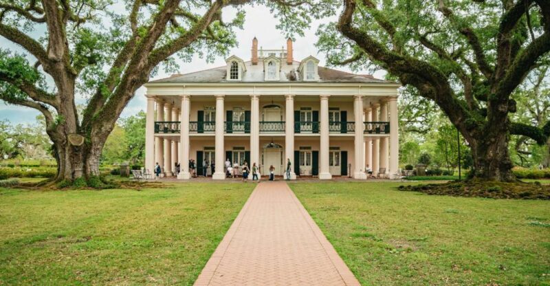 New Orleans: Oak Alley Plantation and Swamp Cruise Day Trip - A Deep Dive into the Tour Experience