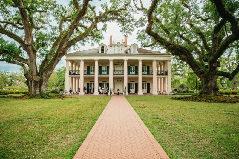 New Orleans: Oak Alley Plantation and Swamp Cruise Day Trip - Authentic Feedback from Travelers