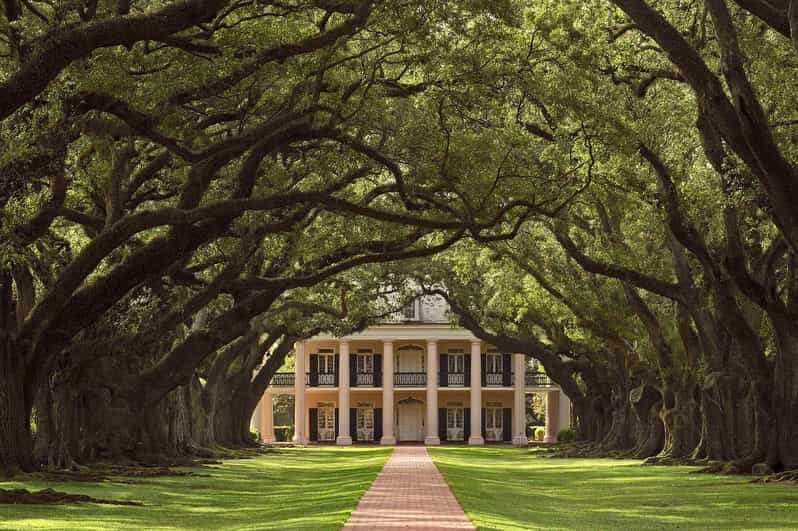 New Orleans: Oak Alley Plantation Half Day Tour - What Does the Tour Cover?