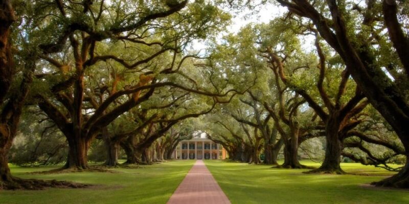 New Orleans: Oak Alley Plantation Half Day Tour - The Value of the Experience