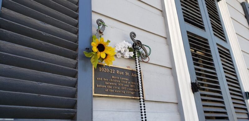 New Orleans: Pestilence and Plagues Guided Tour - Final Thoughts: Who Will Love This Tour?