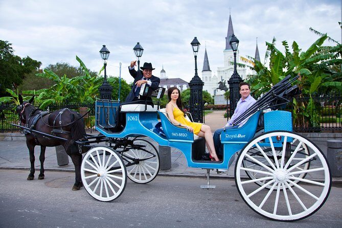 New Orleans Private Carriage Tour of the French Quarter - What Makes This Tour Stand Out?