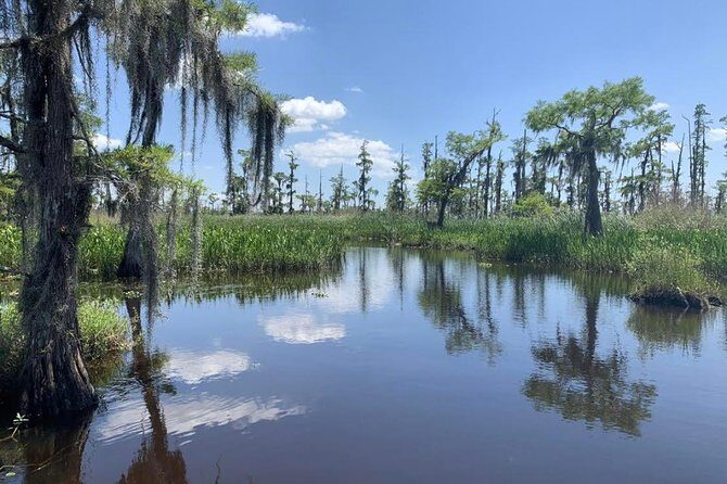 New Orleans Small-Group Airboat Swamp Tour - FAQ