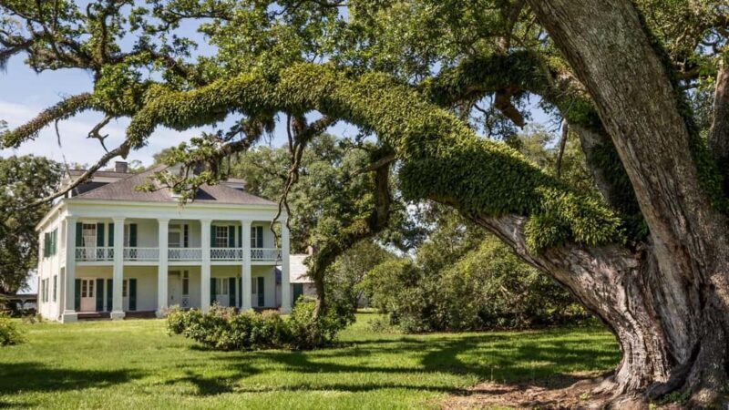 New Orleans: St. Joseph and Felicity Plantation Guided Tour - What You Can Expect from the Tour