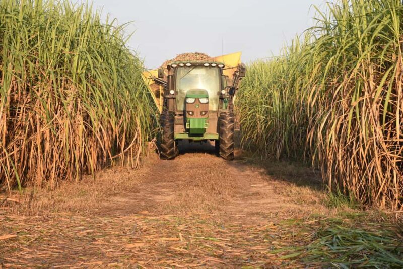 New Orleans: St. Joseph and Felicity Plantation Guided Tour - Who Is This Tour Best For?