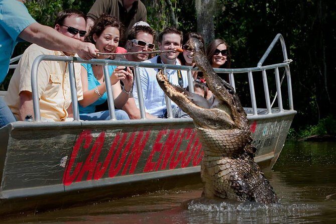 New Orleans Swamp and Bayou Boat Tour with Transportation - What to Expect on the Tour