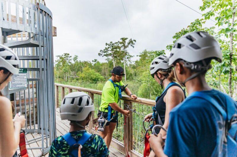New Orleans: Swamp Zipline Tour - The Value of the Experience