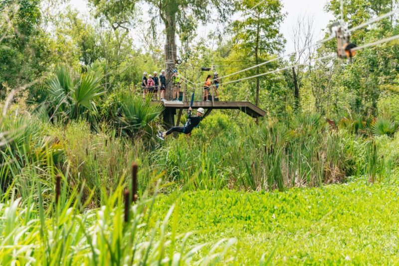 New Orleans: Swamp Zipline Tour - FAQ