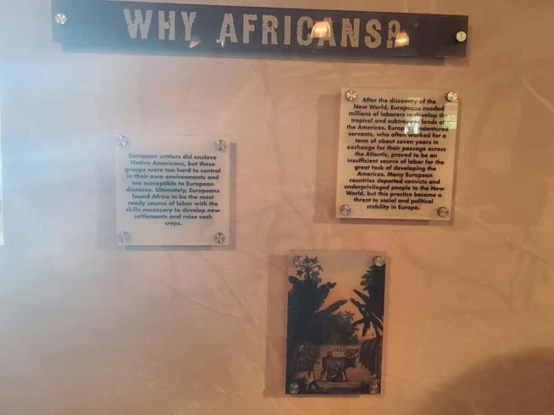 New Orleans: Whitney Plantation Half-Day Tour (Guided Tour) - What to Expect from the Tour