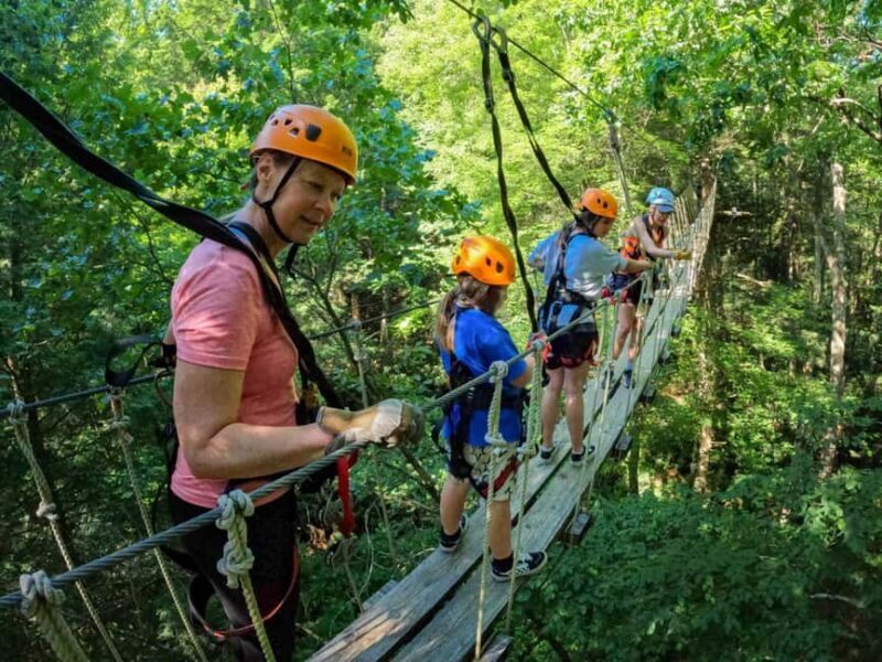 New River Gorge: Gravity Ziplines Adventure - Why the Price Is Fair