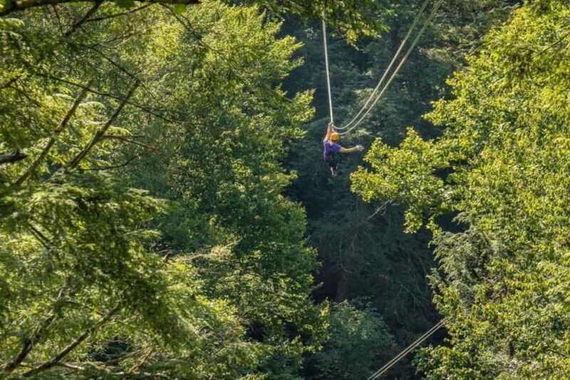 New River Gorge: Gravity Ziplines Adventure - FAQ