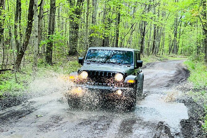 New River Gorge Jeep Tour (Half Day) - An In-Depth Look at the New River Gorge Jeep Tour