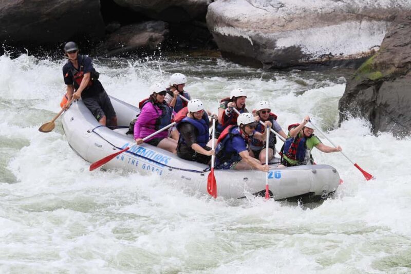 New River Gorge: Lower New River Full-Day Rafting Tour - The Experience for Different Travelers