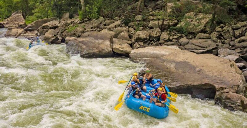 New River Gorge Whitewater Rafting - Lower New Full Day - The Details of the Experience