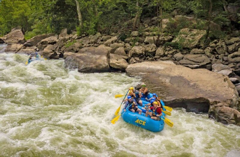 New River Gorge Whitewater Rafting - Lower New Half Day - Key Points