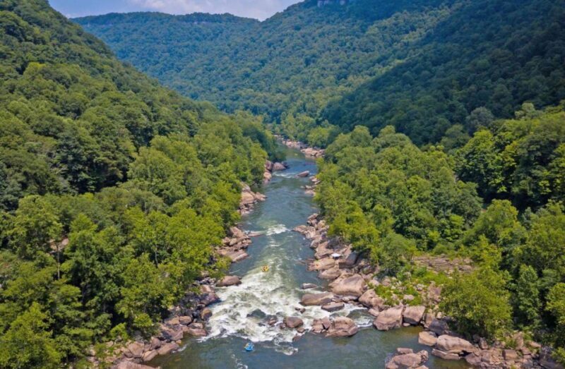 New River Gorge Whitewater Rafting - Lower New Half Day - What to Expect from the Lower New Half Day Rafting Trip