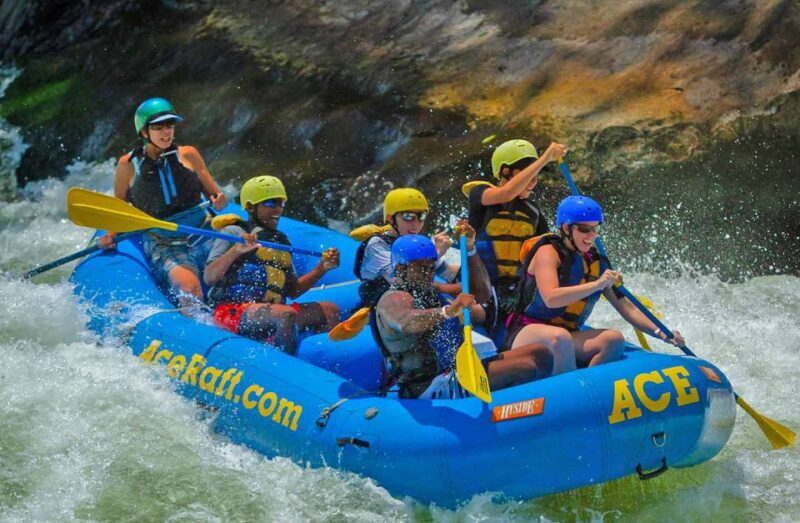 New River Gorge Whitewater Rafting - Lower New Half Day - Who Should Consider This Trip?