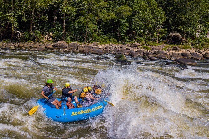 New River Gorge Whitewater Rafting, WV - Lower New Full Day - Who Is This Tour Best For?