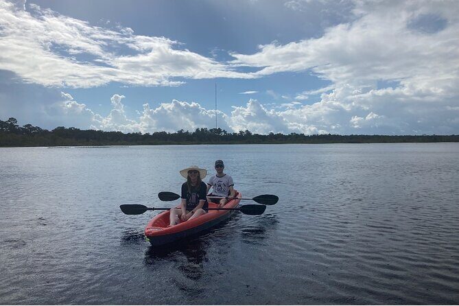 New Smyrna Dolphin and Manatee Kayak and SUP Adventure Tour - Real Guest Experiences