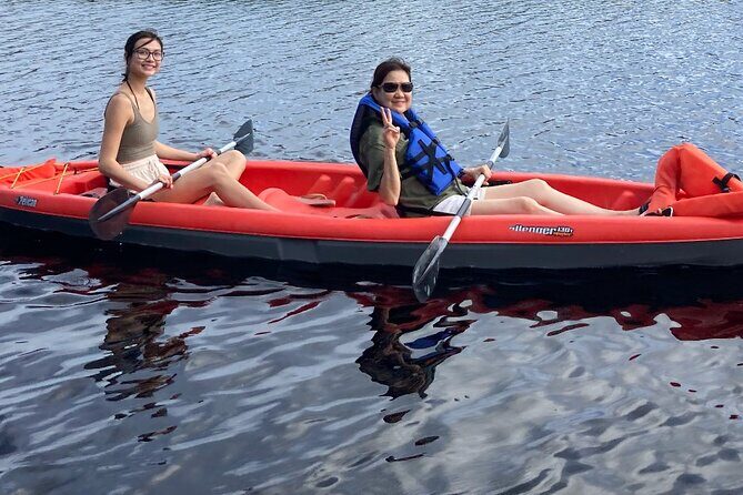 New Smyrna Dolphin and Manatee Kayak and SUP Adventure Tour - Who Will Enjoy This Tour?