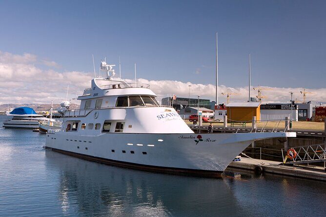 New Year's Eve Reykjavík Cruise - Practical Tips for Your Cruise