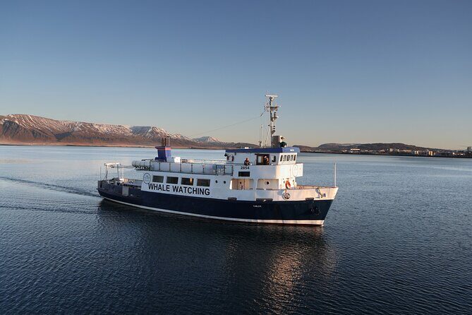 New Years Fireworks by Boat from Reykjavik - The Bottom Line: Is It Right for You?