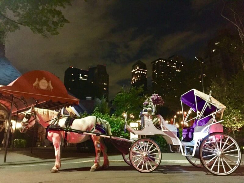 New York: Carriage Ride in Central Park - What to Expect During Your Central Park Carriage Ride