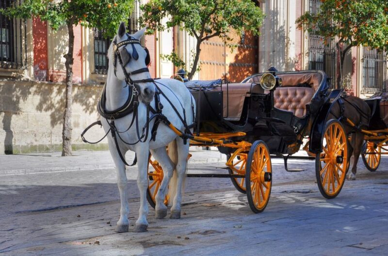 New York: Carriage Ride in Central Park - FAQ