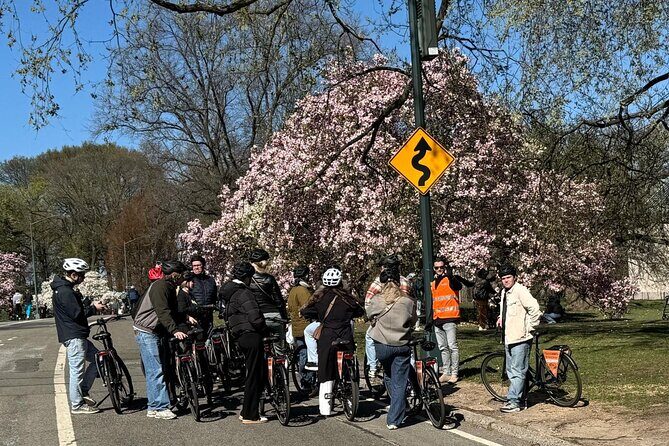 New York Central Park Premium Electric Bike Rental - The Sum Up