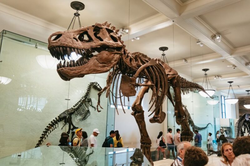 New York City: American Museum of Natural History Ticket - Who Will Love This Experience?