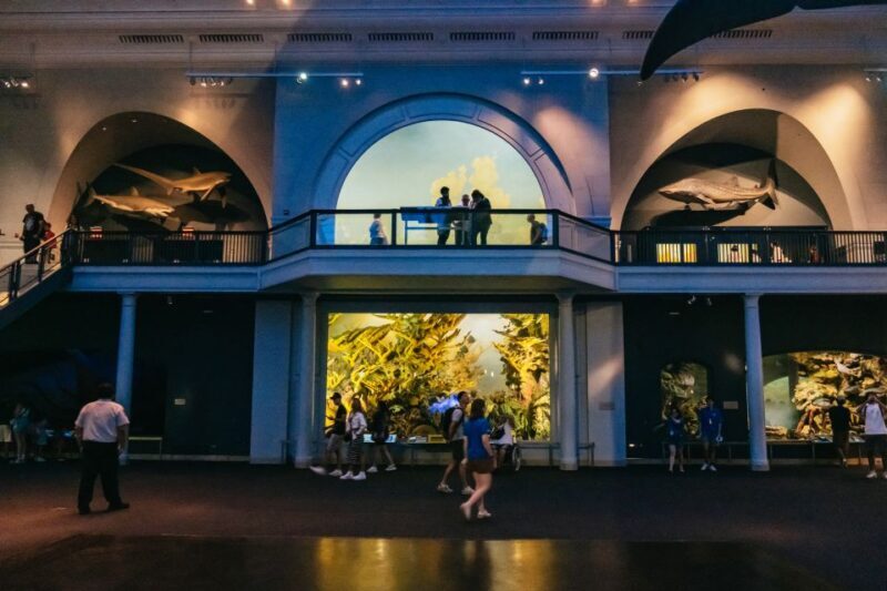 New York City: American Museum of Natural History Ticket - FAQs
