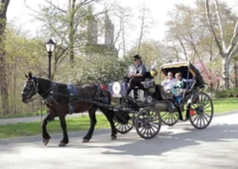 New York City: Central Park Horse Carriage 45-min Ride - The Experience – What It’s Like and What to Expect