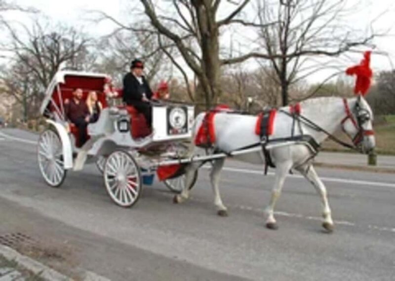 New York City: Central Park Horse Carriage 45-min Ride - Who Will Love This Tour?