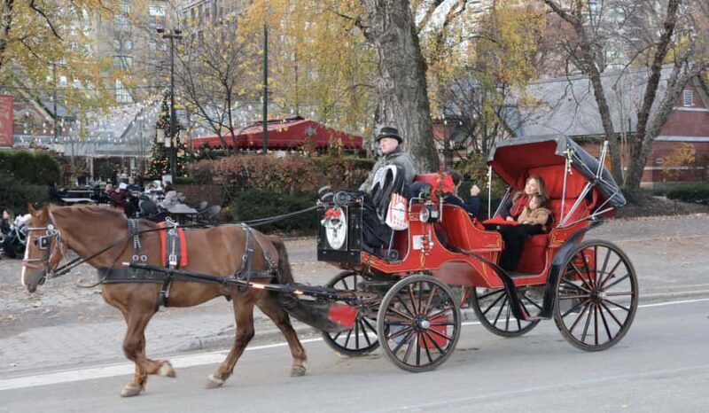 New York City: Central Park Horse Carriage 55-min Ride - Why Choose a Horse Carriage Ride in Central Park?