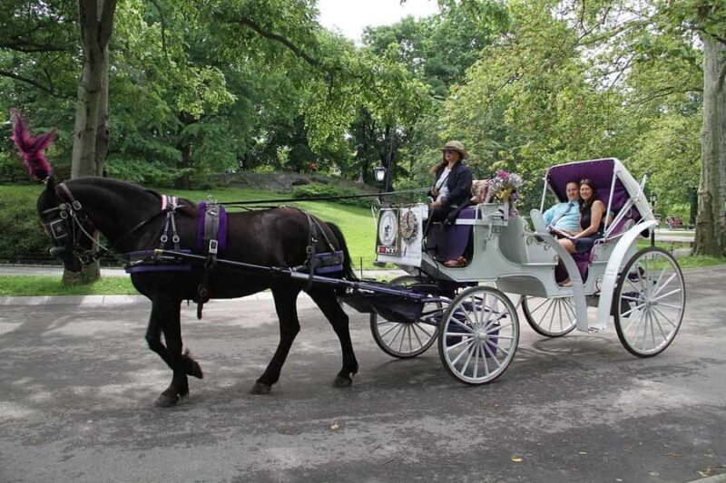 New York City: Central Park Horse Carriage 55-min Ride - What’s Included and What’s Not